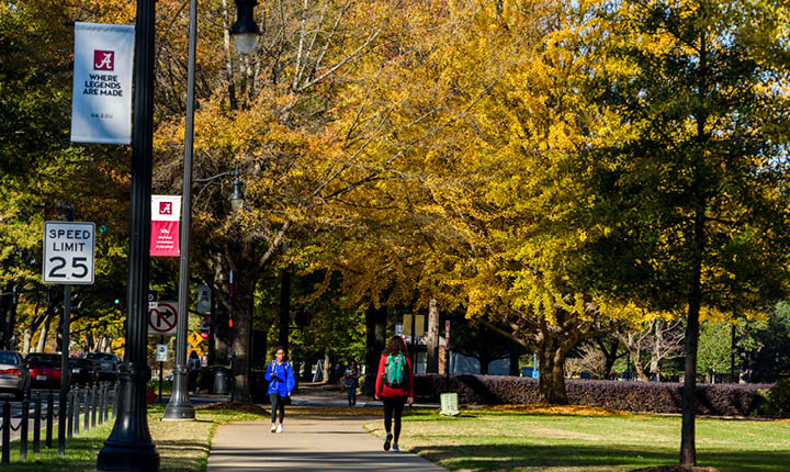 campus trees in the fall